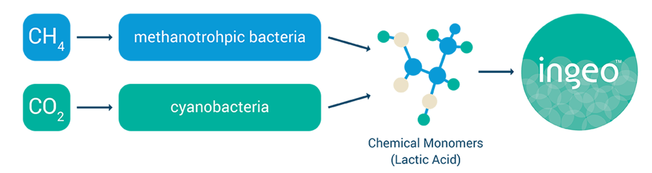 GHGGraphic1070x6002x2x%202png GHGGraphic1070x6002x2x%202png
