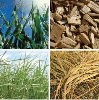 Feedstocks-2 Feedstocks-2