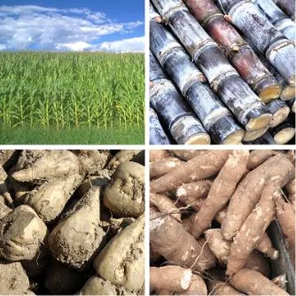 feedstocks-1 feedstocks-1